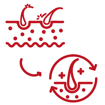 Alchimie repousse et regeneratoin cheveux